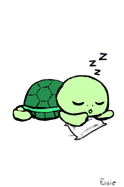 Turtle Cuddles | Essie | Digital Drawing | PENUP