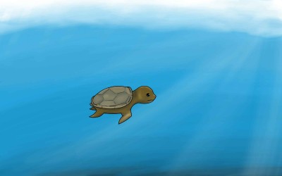cute turtle Baby  | BEE_12538_d-cat | Digital Drawing | PENUP