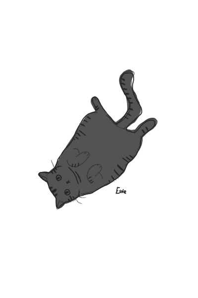 Cat Live Draw | Essie | Digital Drawing | PENUP