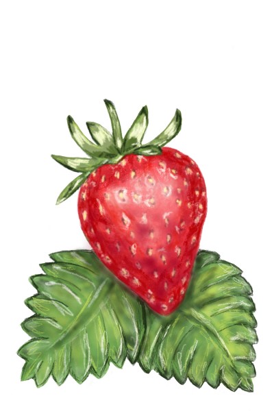 Strawberry | dorelka | Digital Drawing | PENUP