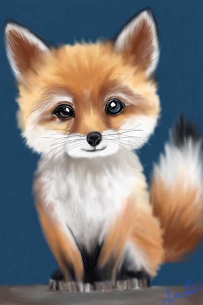Baby Fox | JennD | Digital Drawing | PENUP