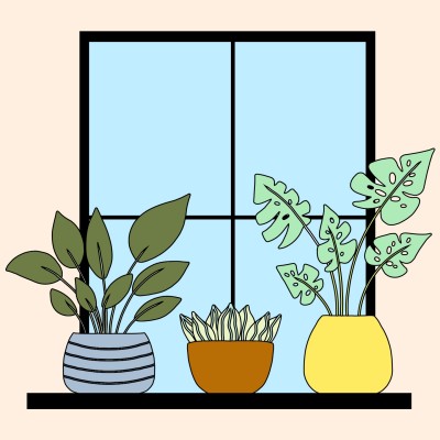 Plant Window | Kevin | Digital Drawing | PENUP
