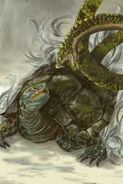 black tortoise of  the north | shizuku | Digital Drawing | PENUP