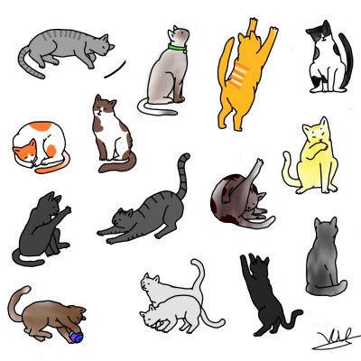 Colores de gatos  | valentina | Digital Drawing | PENUP