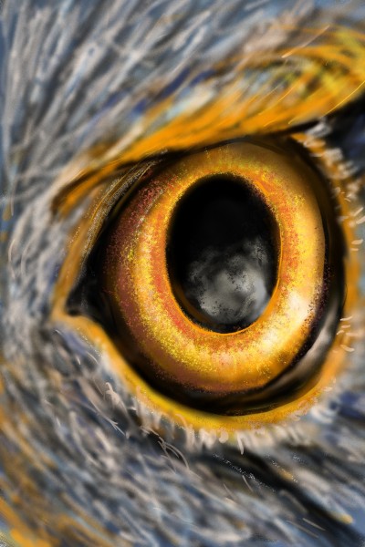 Let's draw a eyes ~Eagle eye  | Barbra | Digital Drawing | PENUP