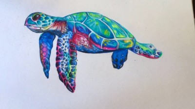 Turtle | ARYAn | Digital Drawing | PENUP