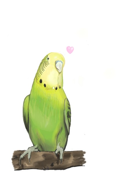 Kiwi (My current parakeet) | Faith_Fuller | Digital Drawing | PENUP