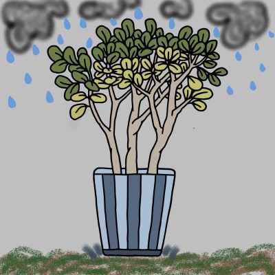 Save plant | zaidgada | Digital Drawing | PENUP