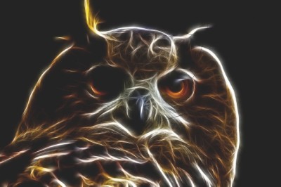 Owl  | Dr.Urbitch | Digital Drawing | PENUP