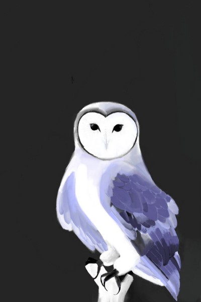 owl  | Diana | Digital Drawing | PENUP
