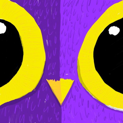 face the owl | schlafschleuder | Digital Drawing | PENUP