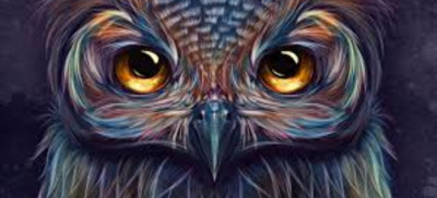 majestic owl | Omotola | Digital Drawing | PENUP