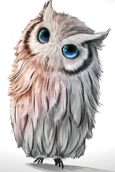 owl  | Arashiii36 | Digital Drawing | PENUP