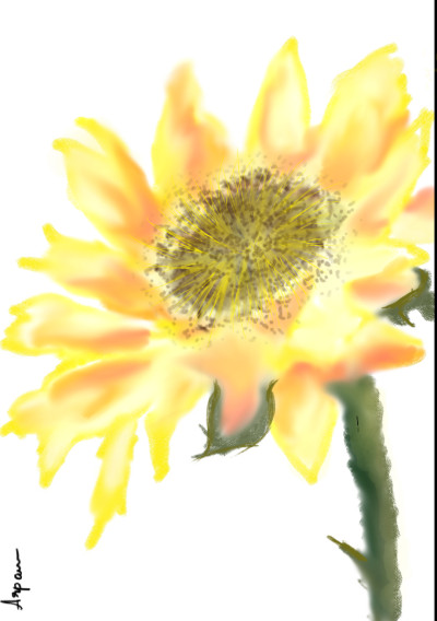 sunflower 'lets draw flower'  | arpu | Digital Drawing | PENUP