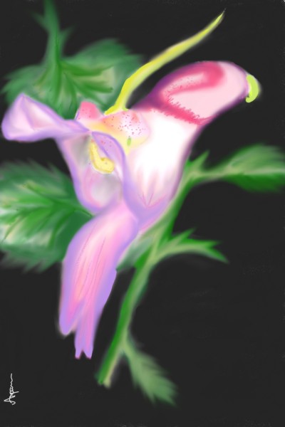 parrot flower 'lets draw flower' #barbara  | arpu | Digital Drawing | PENUP