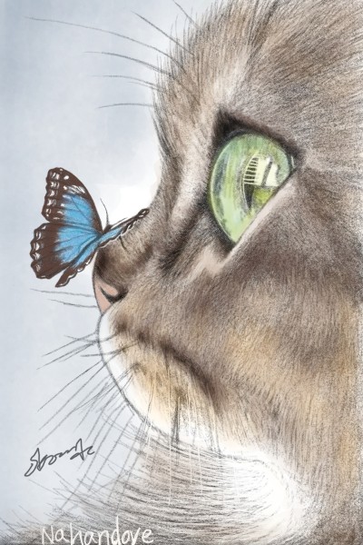 나비와고양이 | Nahandove | Digital Drawing | PENUP