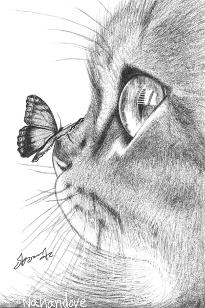 나비와고양이 | Nahandove | Digital Drawing | PENUP