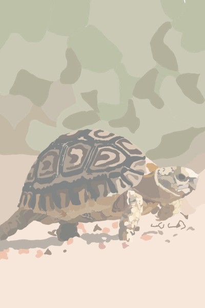 Warrior Turtle | justducky1997 | Digital Drawing | PENUP