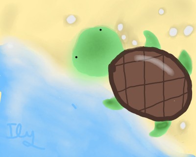 Turtle  | ily | Digital Drawing | PENUP