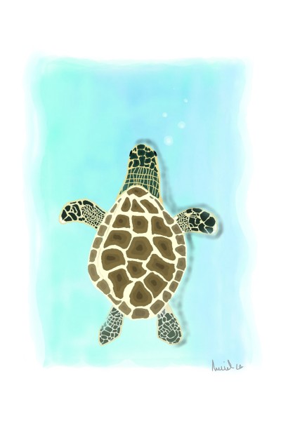 Turtle In Pool | azarelmatthew | Digital Drawing | PENUP