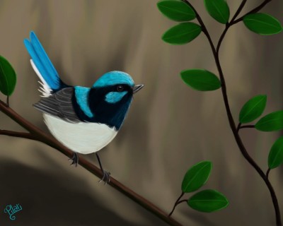 Little blue bird | Pher2.Pilar | Digital Drawing | PENUP