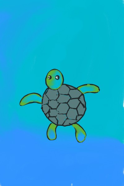 turtle | shriya | Digital Drawing | PENUP