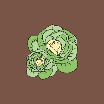 cabbage | Mau533y | Digital Drawing | PENUP