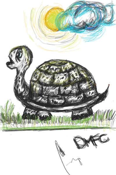 Tortuga | DMFC | Digital Drawing | PENUP