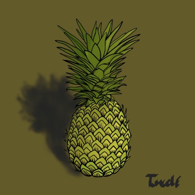 Pineapple | hcktr | Digital Drawing | PENUP