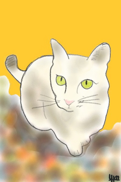 Gato | Yanet | Digital Drawing | PENUP