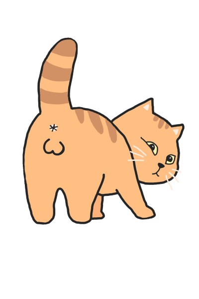 ตูดแมว | eveniika | Digital Drawing | PENUP