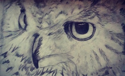 My owl drawing  | caz | Digital Drawing | PENUP