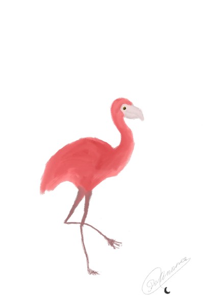 Flamingo | Pol-Lunna | Digital Drawing | PENUP