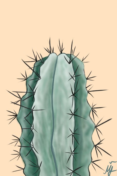 cactus | mjalkan | Digital Drawing | PENUP