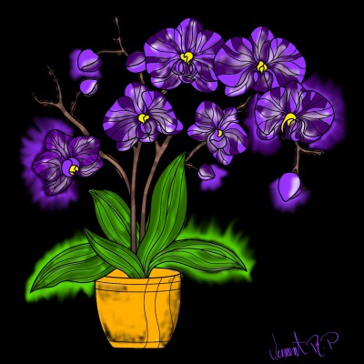 Flowers ♡ | VinnieP | Digital Drawing | PENUP