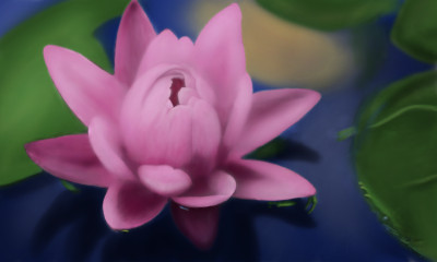 Lotus Blossom | NickKrieger | Digital Drawing | PENUP