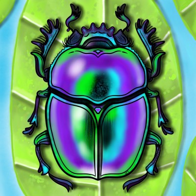 Scarab Beetle | Bekkie | Digital Drawing | PENUP