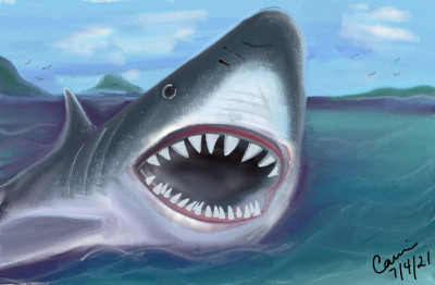 Shark | MrsGhostride | Digital Drawing | PENUP