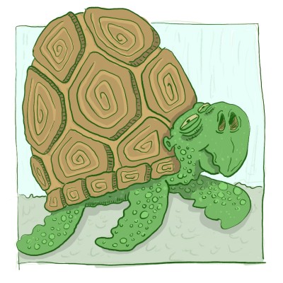Turtle of old | Schlafschleuder | Digital Drawing | PENUP