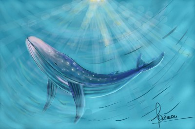 little whale | PaintMyLife | Digital Drawing | PENUP