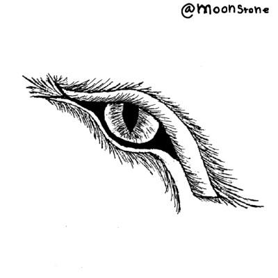 eye | moonstone | Digital Drawing | PENUP