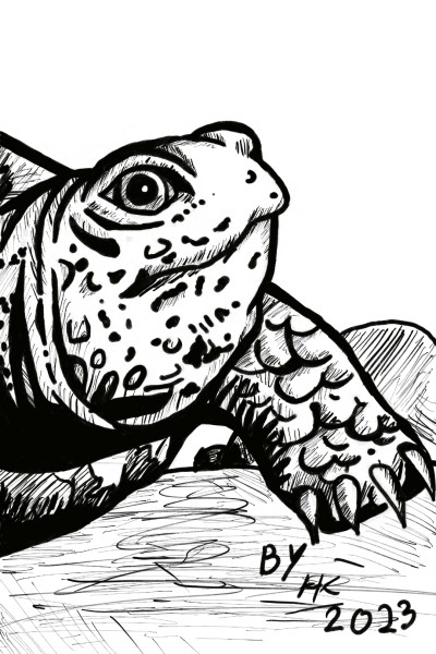my turtle | Hakim | Digital Drawing | PENUP