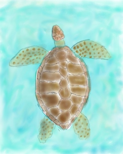 Turtle in the sea | Andy | Digital Drawing | PENUP
