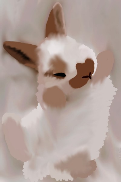 cute bunny  | Kumiho | Digital Drawing | PENUP