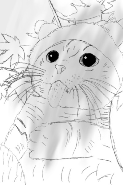 my cat sketch | -k-i-T-t-Y- | Digital Drawing | PENUP