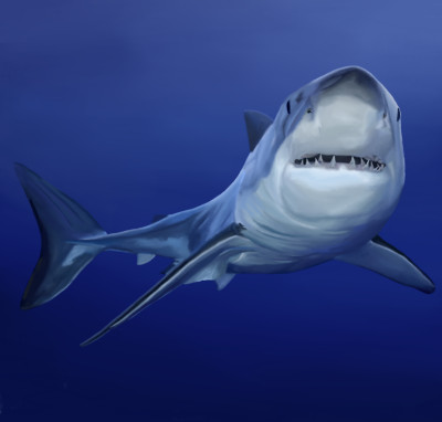 Shark is watching you | sherlock | Digital Drawing | PENUP