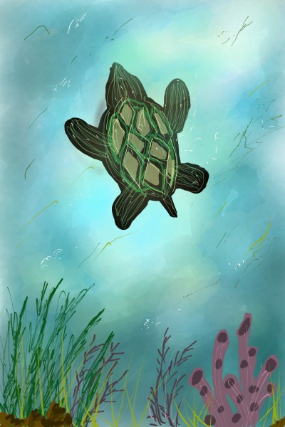 turtle  | Dart | Digital Drawing | PENUP