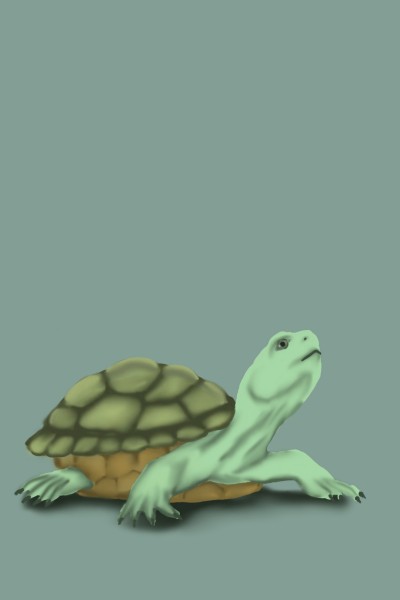 turtle | AnaNicole | Digital Drawing | PENUP
