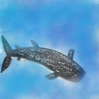 basking shark  | traceycatz | Digital Drawing | PENUP