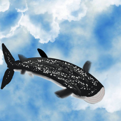 Basking shark | traceycatz | Digital Drawing | PENUP